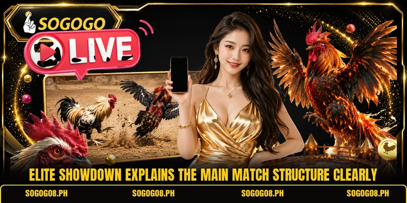 Elite showdown explains the main match structure clearly