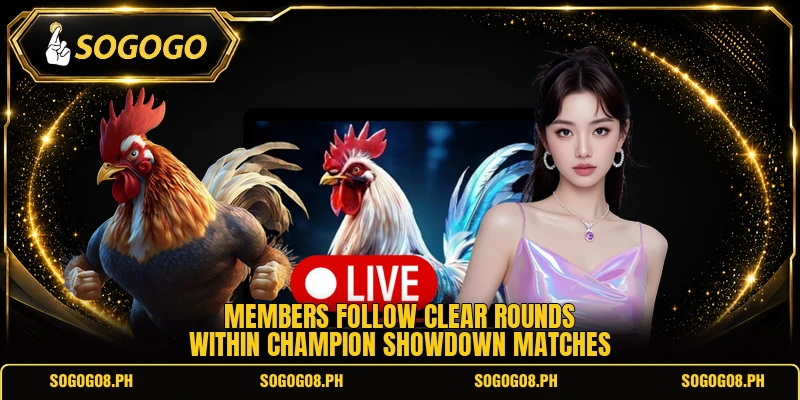 Members follow clear rounds within champion showdown matches