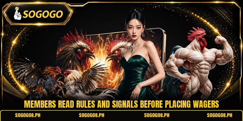 Members read rules and signals before placing wagers