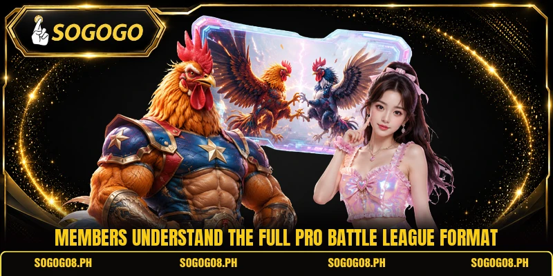 Members understand the full pro battle league format