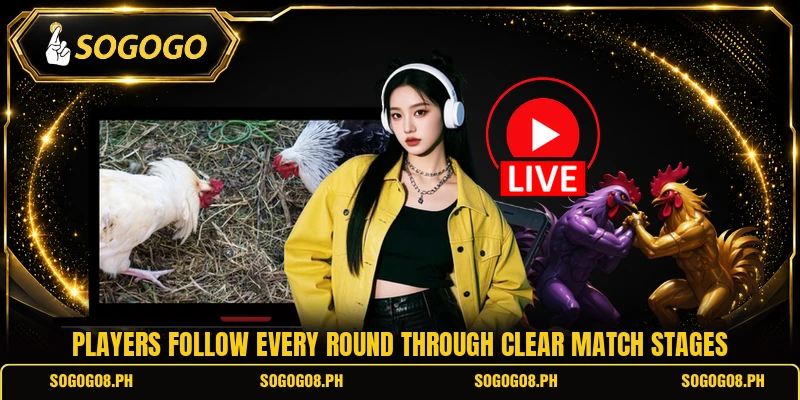 Players follow every round through clear match stages